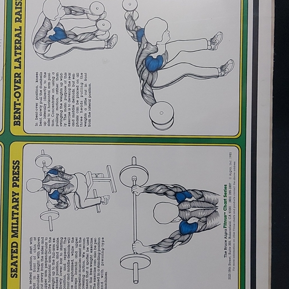 1985 Vintage Bruce Algra Shoulder Workout Fitness Chart Series 16" x 11". - Picture 4 of 7